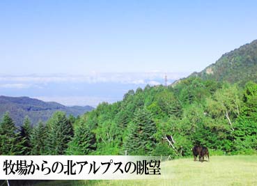 北アルプスを望む山田牧場