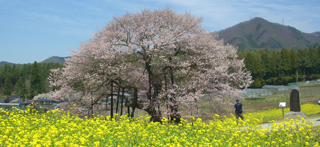 奥山田温泉　ヴィラ藤屋