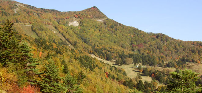 奥山田温泉　ヴィラ藤屋